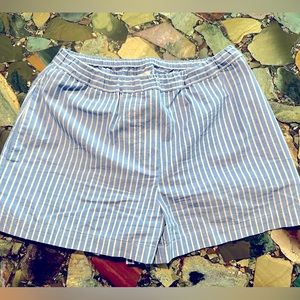 Airy Blue and White Striped Summer Shorts from Aritzia